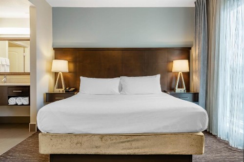 Staybridge Suites St. Petersburg FL an IHG Hotel - image 8