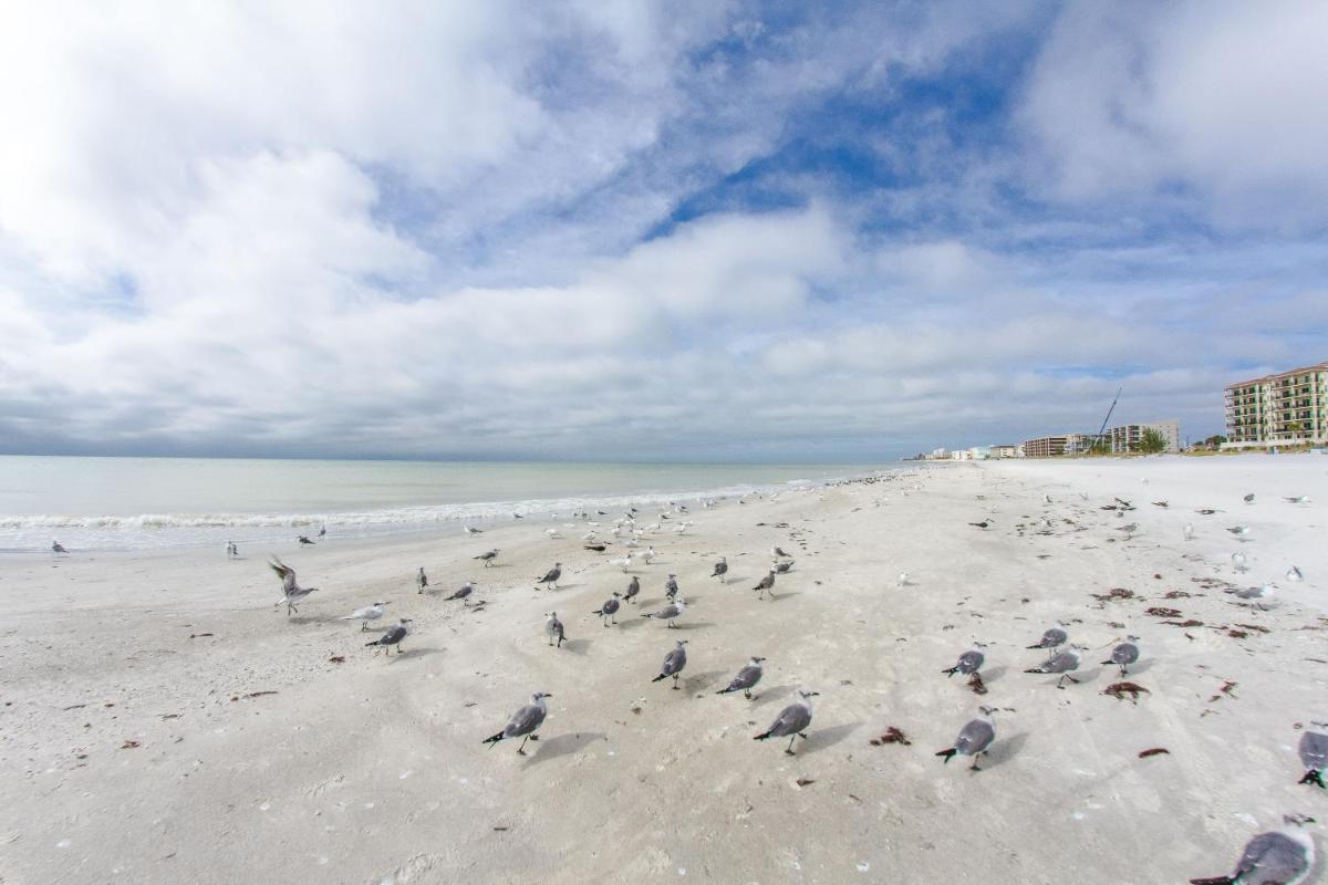 209 Beach Place Condos - image 7
