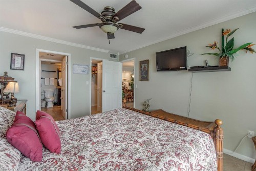 510 Madeira Norte Condo - image 16