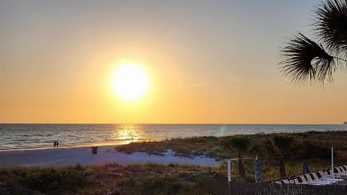 240 Surf Song Resort - image 42