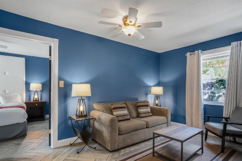Avalon Hotel Downtown St. Petersburg - image 11