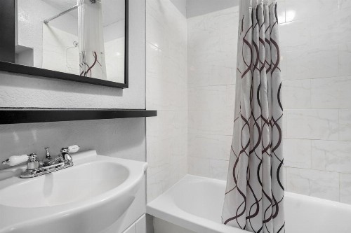 Avalon Hotel Downtown St. Petersburg - image 12