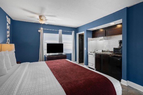 Avalon Hotel Downtown St. Petersburg - image 19