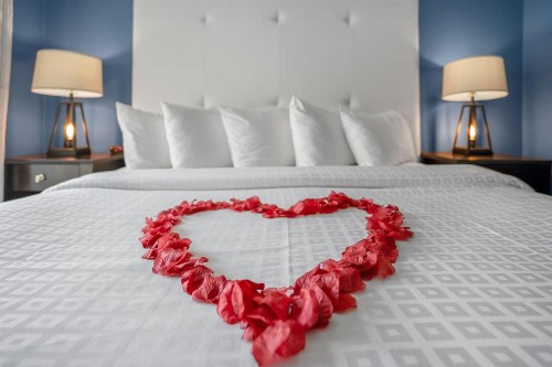 Avalon Hotel Downtown St. Petersburg - image 20