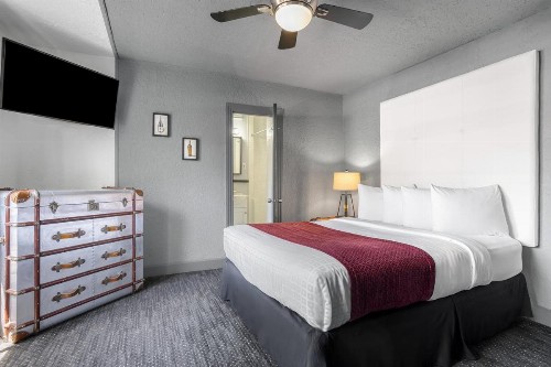 Avalon Hotel Downtown St. Petersburg - image 26