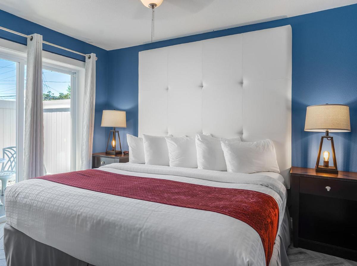Avalon Hotel Downtown St. Petersburg - image 4