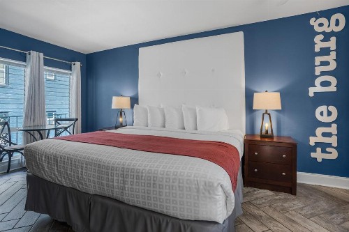 Avalon Hotel Downtown St. Petersburg - image 6