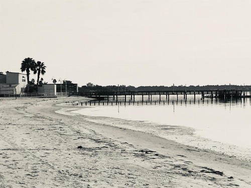 Sea Breeze Manor Inn - image 16