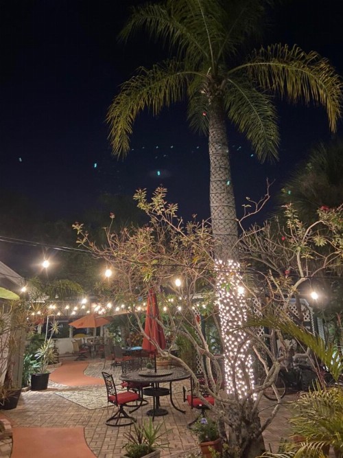 Sea Breeze Manor Inn - image 3