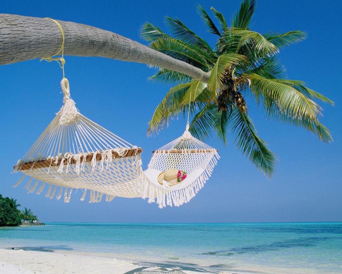 Four Bedroom Family Accommodation - Private Beach - main image