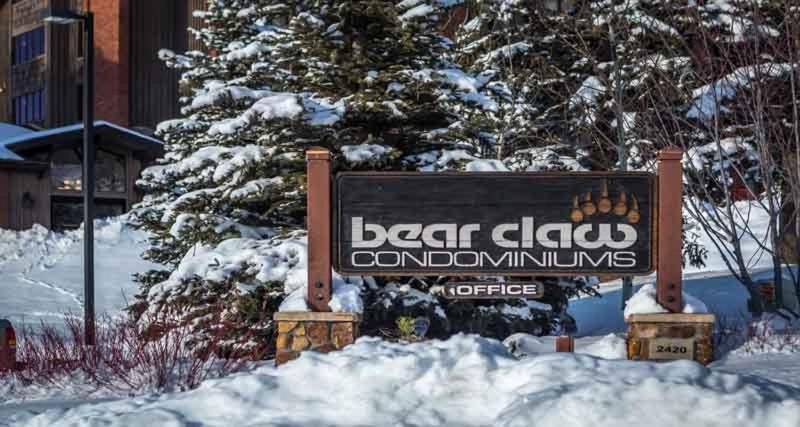 Bear Claw 103 - image 2