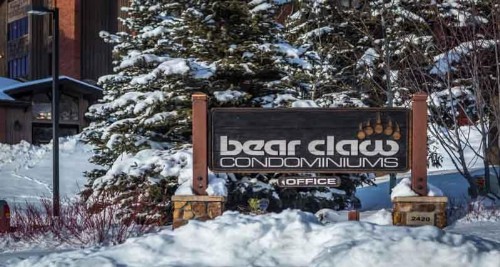 Bear Claw 104 - image 11
