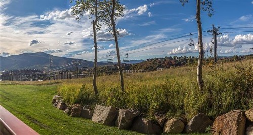 Bear Claw 104 - image 12
