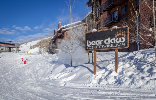 Bear Claw 104 - image 9