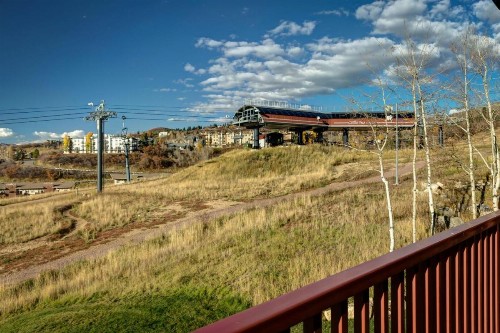 Bear Claw 203 - image 7