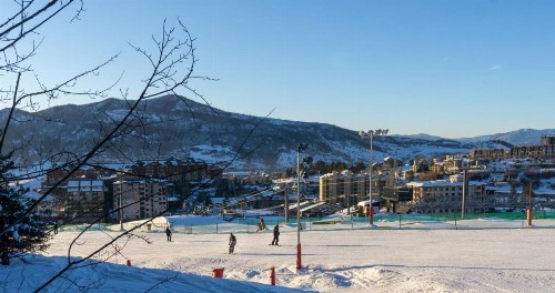 Bear Claw 208 - image 9