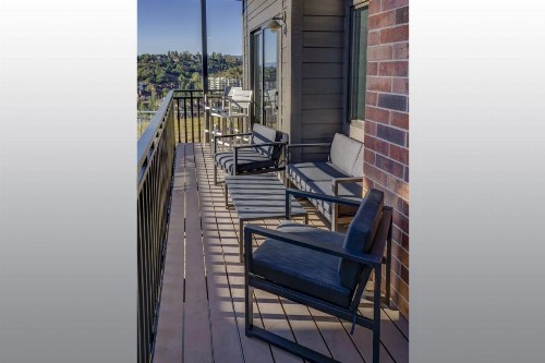 Bear Claw 405 - image 3