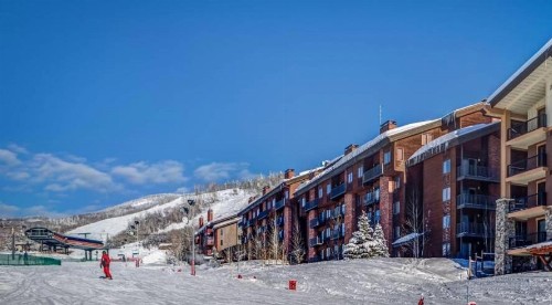 Bear Claw 413 - image 19