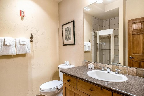 Timberline Lodge at Trappeur's Crossing Resort 2105 - image 13