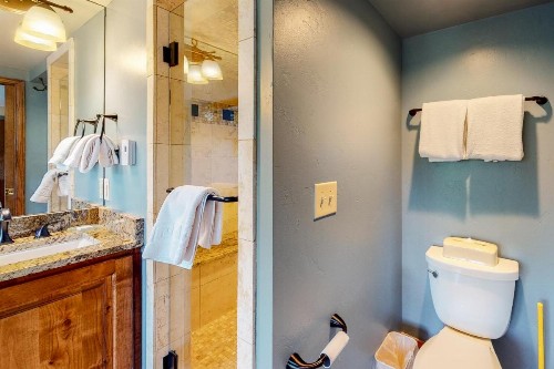 Torian Plum Plaza 401 - image 6