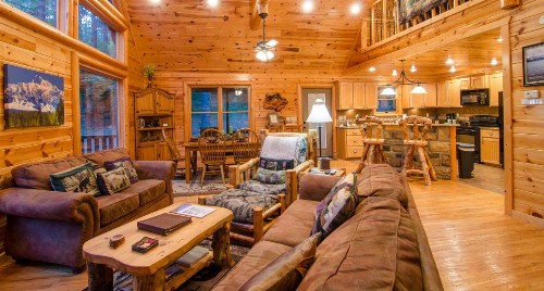 Denali cabin - image 7