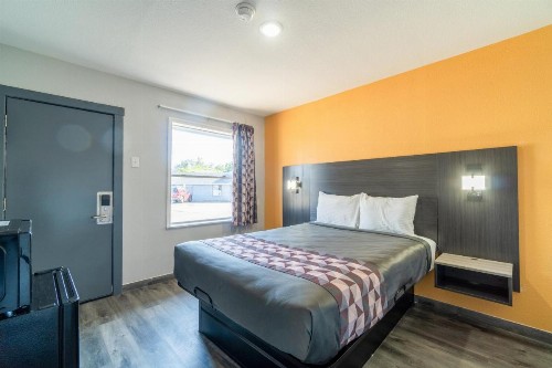 Royal Inn Motel - image 43