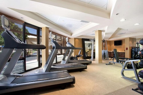 Hilton Stockton - image 20