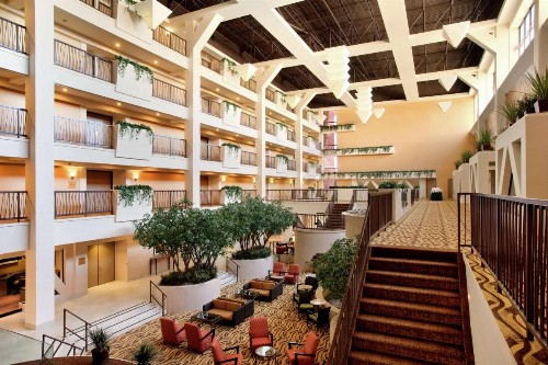 Hilton Stockton - image 5