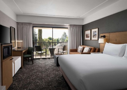 Hilton Stockton - image 9