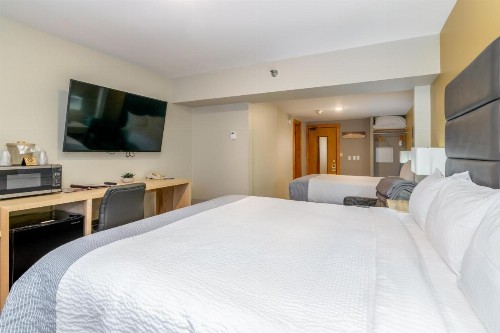 Grey Fox Inn - image 12