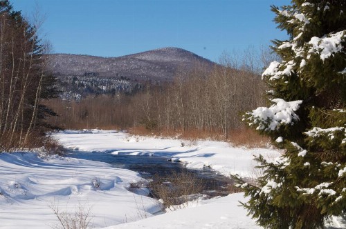 Sun & Ski Inn and Suites - image 49