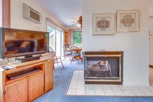 Mountainside Resort: K105 - image 7