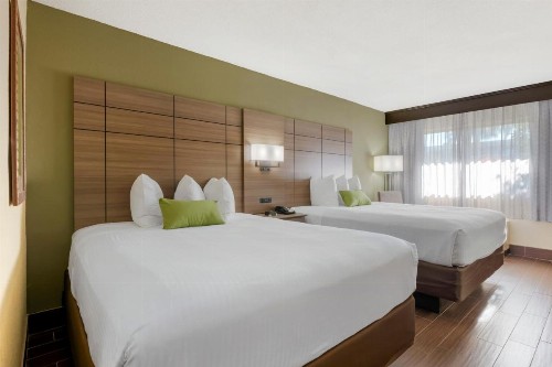 Best Western Downtown Stuart - image 12