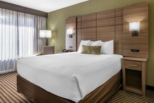 Best Western Downtown Stuart - image 15