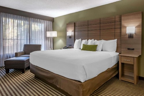 Best Western Downtown Stuart - image 21