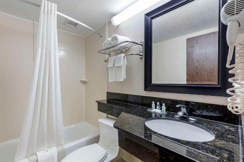 Quality Inn Downtown Stuart - image 8