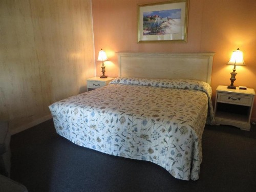 Royal Palms Motel - image 12
