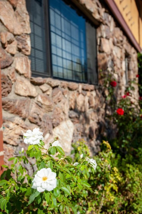 Studio City Courtyard Hotel - image 39