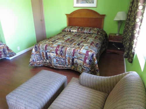 Park Motel - image 4