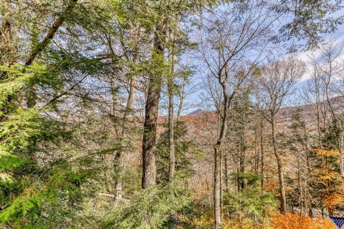 Briarcliff C13 - image 11