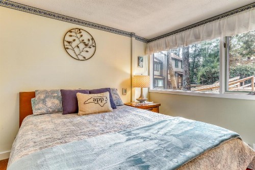 Briarcliff C13 - image 12
