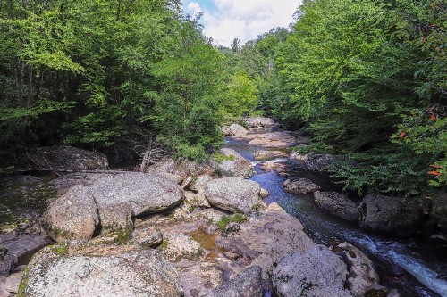 Briarcliff C14 - image 12