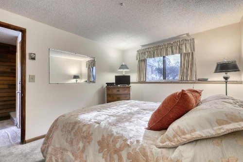 Snowlake D-22 - image 6
