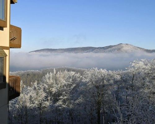 Country Retreat at Blue Ridge Mountains - One Bedroom Suite #1 - image 11