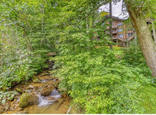 Wonderful Mountain House - image 6
