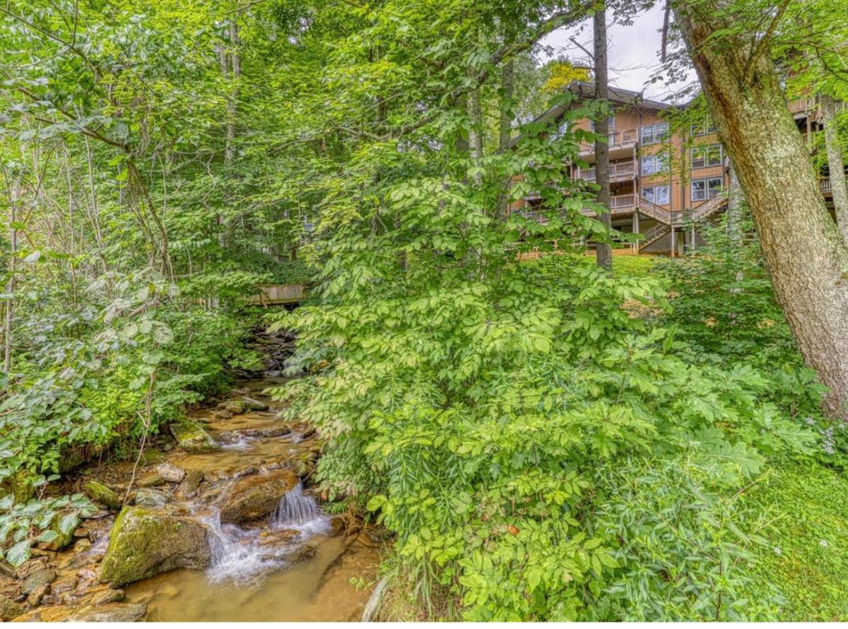 Wonderful Mountain House - image 6