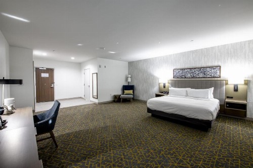 Holiday Inn Lake Charles - West Sulphur - image 29