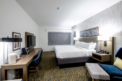 Holiday Inn Lake Charles - West Sulphur - image 32