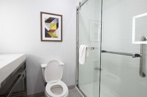 Holiday Inn Lake Charles - West Sulphur - image 34