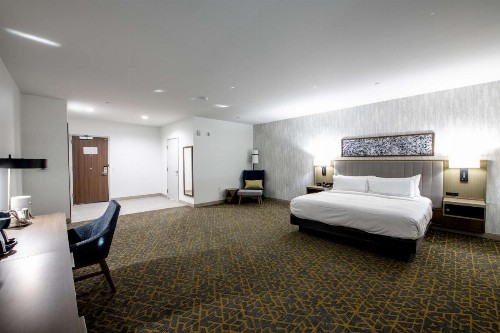 Holiday Inn Lake Charles - West Sulphur - image 39